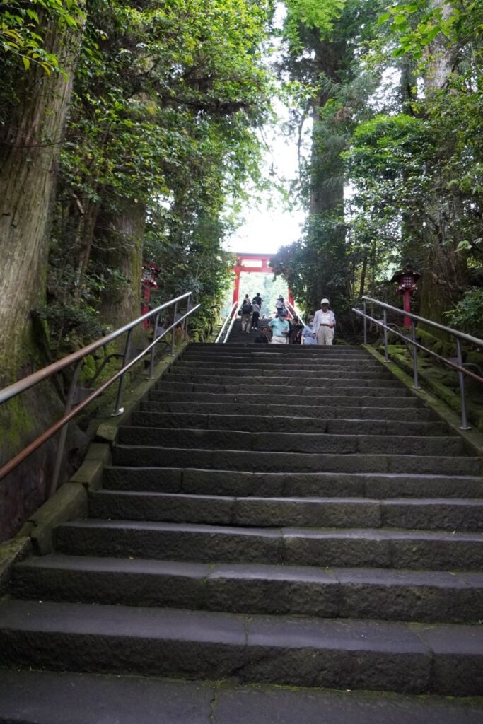 Stone staircase surrounded by cedar trees leading to Hakone Shrine