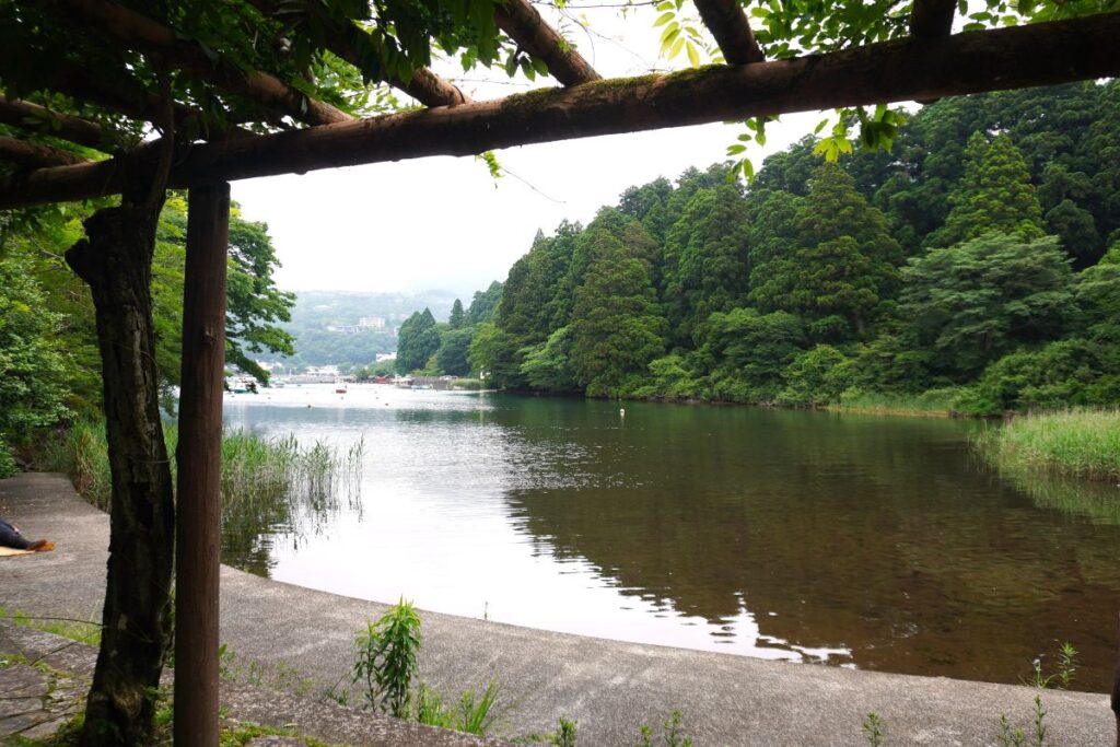 Quiet lakeside view along the walking trail in Onshi Hakone Park