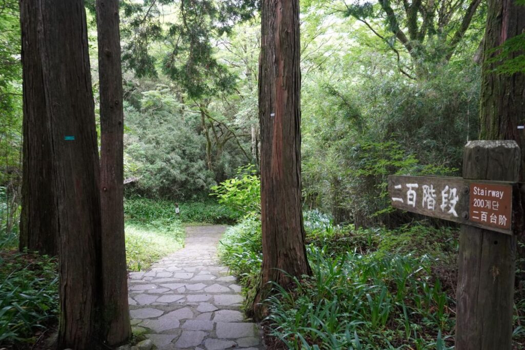 Entrance to the 200-Step Staircase in Onshi Hakone Park surrounded by tall cedar trees