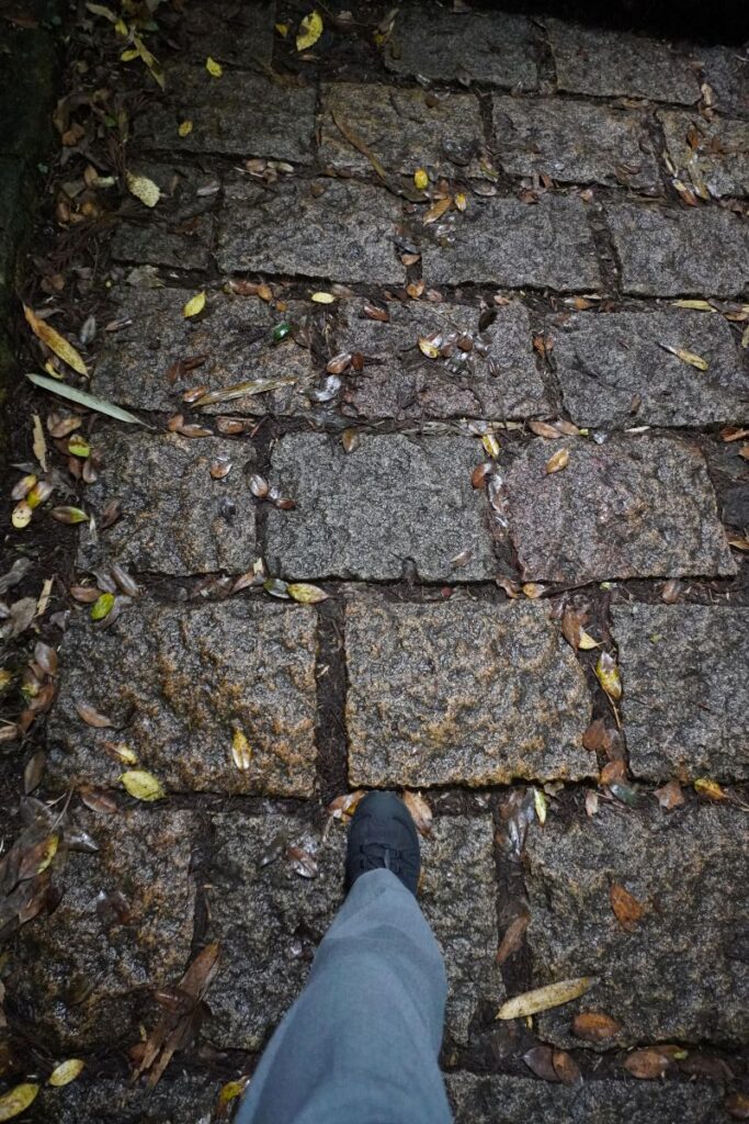 Wet stone path beside Lake Ashi after rain