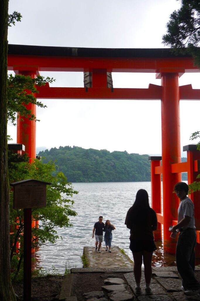 View of the lakeside torii gate through the cedar forest