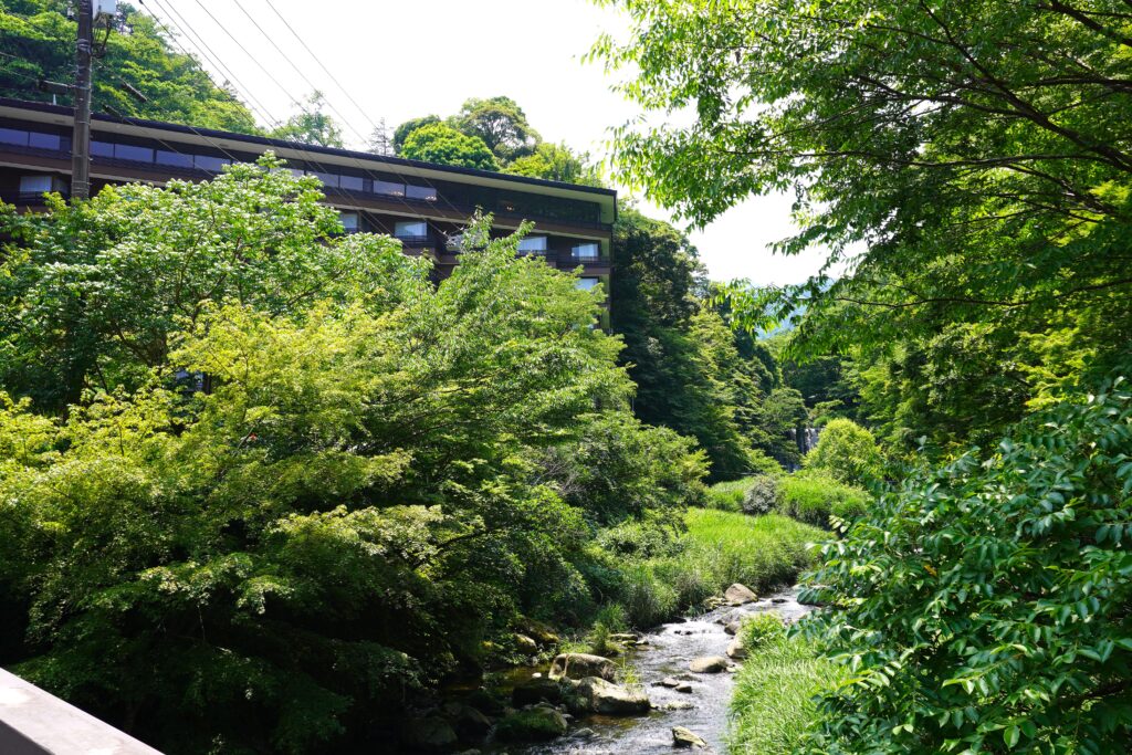 Riverside hotel surrounded by lush greenery in Hakone-Yumoto, Japan