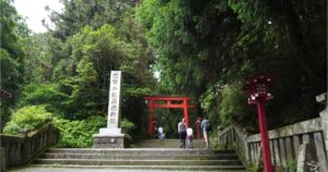 Entrance to Hakone Shrine with stone steps, red torii gate, and cedar forest in Hakone, Japan