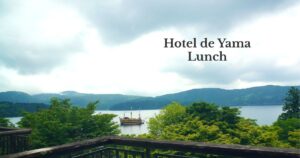 A lakeside lunch experience at Hotel de Yama with panoramic views of Lake Ashi and Hakone's iconic pirate ship.