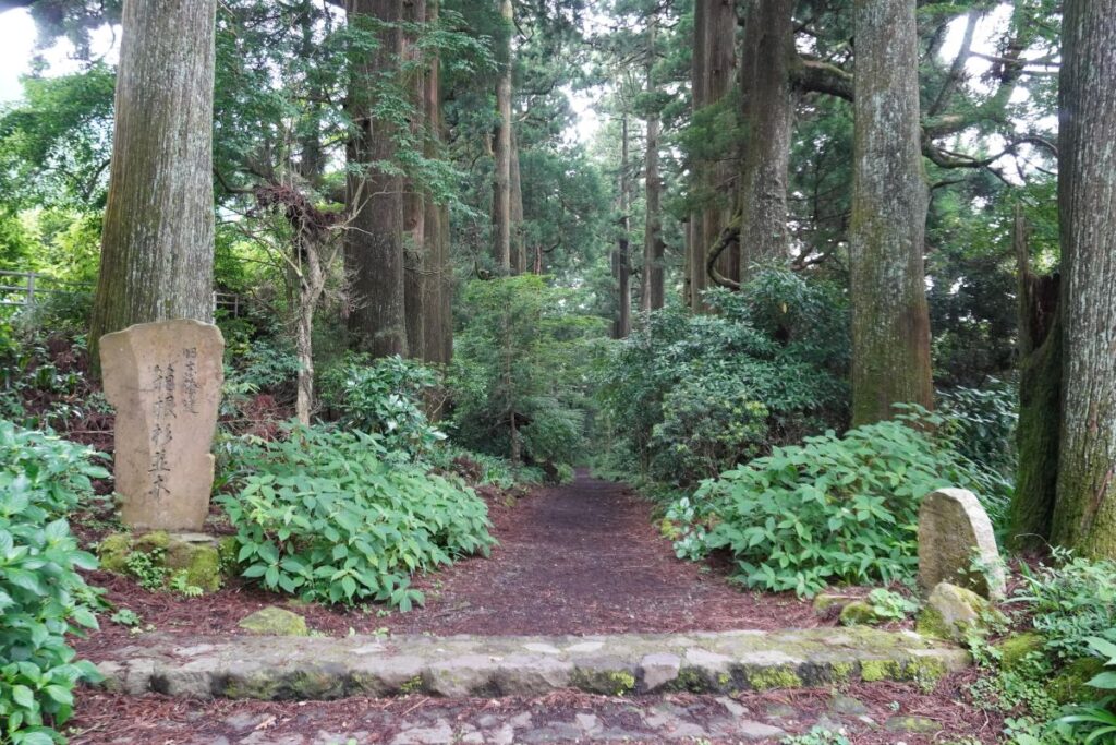 Old Tokaido Cedar Avenue lined with towering cedar trees in Hakone